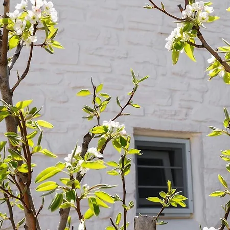 Holiday Lefkes * Lefkes (Paros)